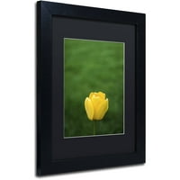 Zaštitni znak likovne umjetnosti usamljeni žuti tulip platno umetnost Kurt Shaffer, crna mat, crni okvir