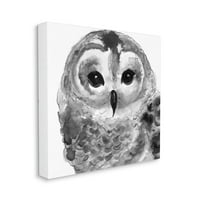 Stupell Industries mirna Barn Owl ptica lice portret slika slika Galerija umotano platno Print zid Art, dizajn Patti Mann