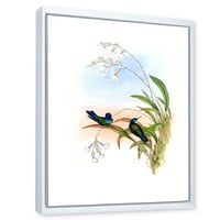 Drevna hummingbird III uramljena slikanje platno Art Print