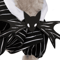 Rubiejev kostim psa i mačke na pruge, Crni, XL