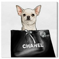 Wynwood Studio životinje zid Art platno grafike' Chihuahua Glam ' psi i štenci - braon, crna