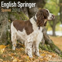 Engleski Springer španijel kalendar - kalendar pasmina - zidni kalendar 2017-