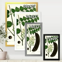 Designart' drevni biljni život IX ' tradicionalni uokvireni umjetnički Print