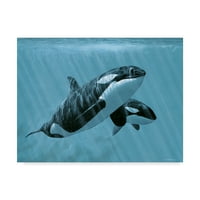 Zaštitni znak likovne umjetnosti' majka i Sin Orcas ' platnena Umjetnost Rona Parkera
