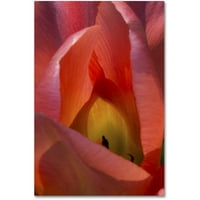 Zaštitni znak likovne umjetnosti užarena tulipana platna umjetnost Kurt Shaffer
