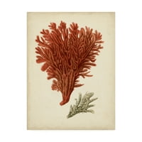 Zaštitni znak likovne umjetnosti 'antikni crveni koral v' platnena umjetnost Vied Studio