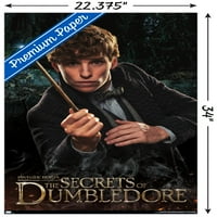 Fantastične zvijeri: tajne Dumbledore - Newt zidni poster, 22.375 34