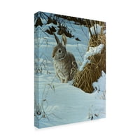 Zaštitni znak Likovna umjetnost' snow Cover Cottontail ' platnena Umjetnost Wilhelma Goebela