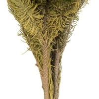 Vickerman 12-16 Natural Green Brunia, sačuvan OZ, sačuvan