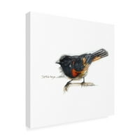 Bruce Dean 'Songbird Study IV' umjetnost na platnu