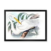 DESIMANART 'Drevne australijske ptice IV' Tradicionalni uokvireni umjetnički print