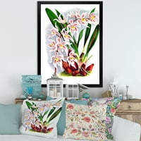 PROIZVODNJA Bijeli vintage orhidelni cvijet II TRADICIONALNI PLAMENT ART PRINT