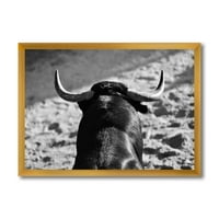 PROIZVODNJAČA 'Crno-bijeli portret španskog bull-a' seoske kuće uokvirene umjetnosti