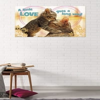 Avanti - Kitten poljubi zidni poster, 22.375 34