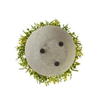 Jednostavna Fau saksijska biljka u sivoj završenoj keramičkoj saksiji