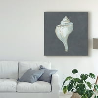 Zaštitni znak likovne umjetnosti 'Shell na škriljevcu IV' Canvas Art Megan Meagher