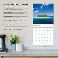 Willow Creek Press Samo Australijski Ovčarski Štenad Zidni Kalendar