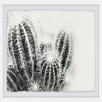 Marmont Hill Cactus Spines Framed Wall Art, 30 45