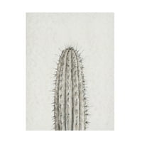 Tim Otoole 'Cactus Study III' Platno Art